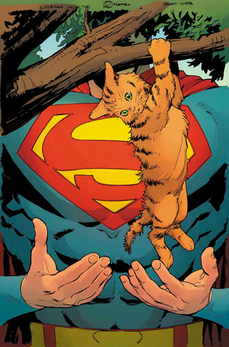 Superman Unlimited #5 Cover D - Matteo Lolli