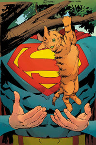 Superman Unlimited #5 Cover D - Matteo Lolli