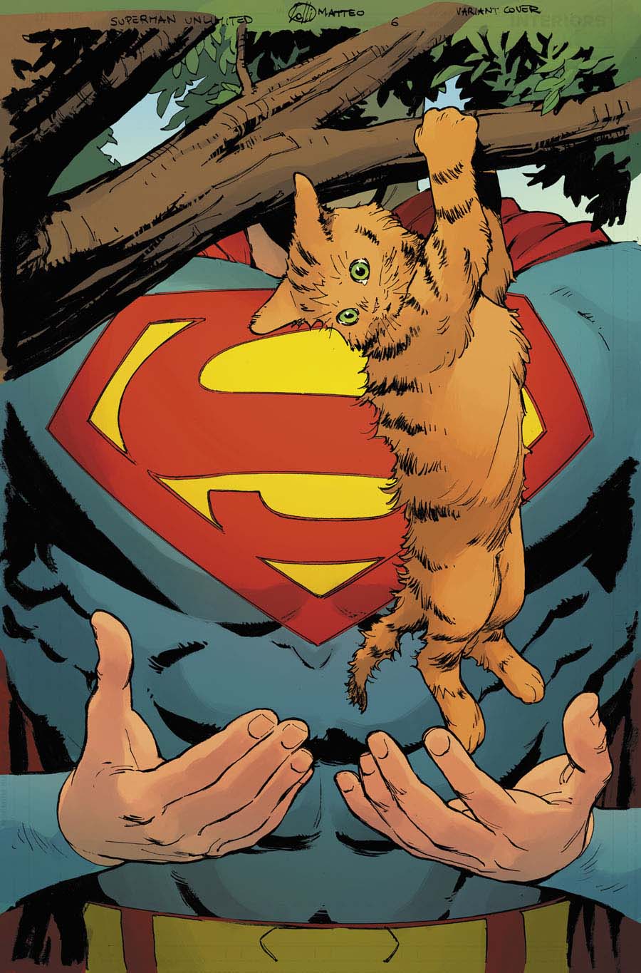 Superman Unlimited #5 Cover D - Matteo Lolli