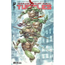 Load image into Gallery viewer, Teenage Mutant Ninja Turtles #13 Cover F - BLIND BAG VARIANT