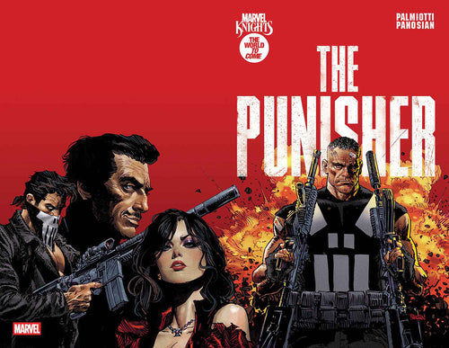 Marvel Knights: Punisher #1 *- Dan Panosian - COVER A
