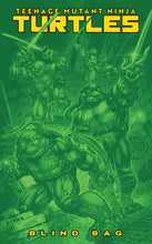 Load image into Gallery viewer, Teenage Mutant Ninja Turtles #13 Cover F - BLIND BAG VARIANT