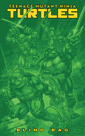 Teenage Mutant Ninja Turtles #13 Cover F - BLIND BAG VARIANT