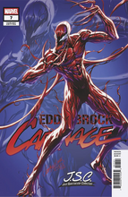 Load image into Gallery viewer, J. Scott Campbell - JUST SPECTACULAR COLLECTION - ALL 28 COVERS w/FREE SHIPPING!