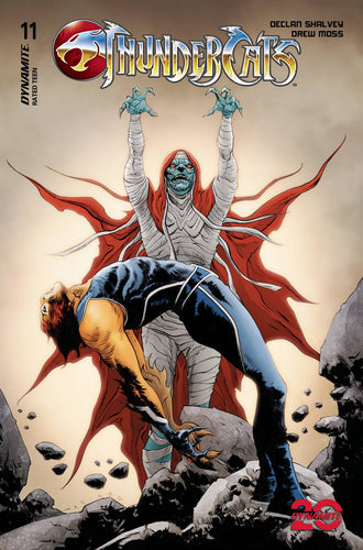 Thundercats #11 Cover C - June Chung Jae Lee