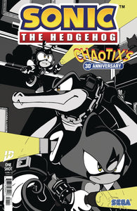 Sonic the Hedgehog: Chaotix's 30th Anniversary Special #1 Cover A - Jack Lawrence