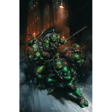Load image into Gallery viewer, Teenage Mutant Ninja Turtles #13 Cover F - BLIND BAG VARIANT