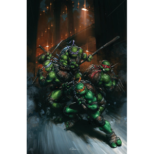 Teenage Mutant Ninja Turtles #13 Cover F - BLIND BAG VARIANT