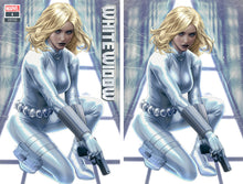 Load image into Gallery viewer, WHITE WIDOW #1 - LIMITED VARIANT BY ARIEL DIAZ
