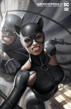 Load image into Gallery viewer, BATMAN CATWOMAN #1 - LIMITED VARIANT COVER BY RYAN BROWN - Collectors Choice Comics