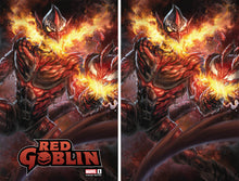 Load image into Gallery viewer, Red Robin #1 Limited Variant by ALAN QUAH!
